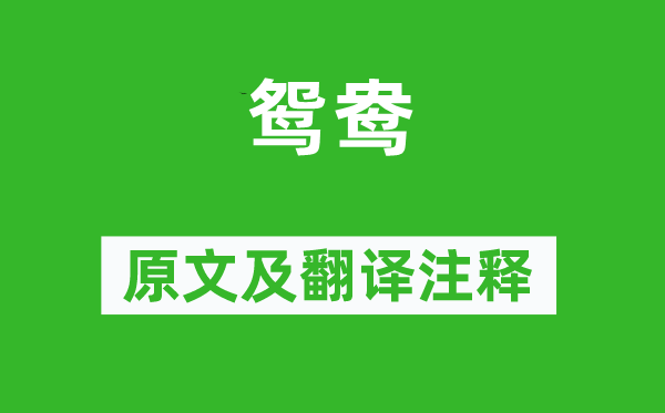 诗经·小雅《鸳鸯》原文及翻译注释,诗意解释