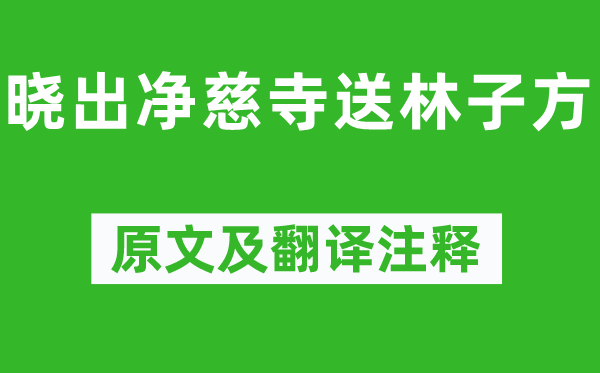 杨万里《晓出净慈寺送林子方》原文及翻译注释,诗意解释