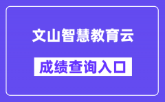 文山智慧教育云中考成绩查询入口（https://csgx.ynjy.cn/）