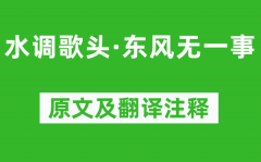 张惠言《水调歌头·东风无一事》原文及翻译注释_诗意解释