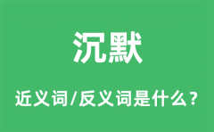 沉默的近义词和反义词是什么_沉默是什么意思?