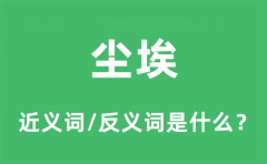 尘埃的近义词和反义词是什么_尘埃是什么意思?