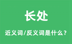 长处的近义词和反义词是什么_长处是什么意思?