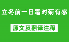 钱时《立冬前一日霜对菊有感》原文及翻译注释_诗意解释