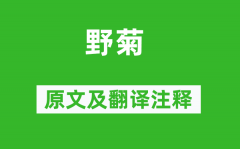 王建《野菊》原文及翻译注释_诗意解释