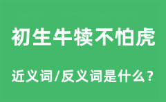 初生牛犊不怕虎的近义词和反义词是什么_初生牛犊不怕虎是什么意思?