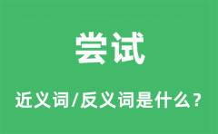 尝试的近义词和反义词是什么_尝试是什么意思?