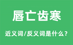 唇亡齿寒的近义词和反义词是什么_唇亡齿寒是什么意思?