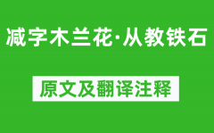 纳兰性德《减字木兰花·从教铁石》原文及翻译注释_诗意解释