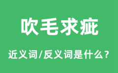 吹毛求疵的近义词和反义词是什么_吹毛求疵是什么意思?