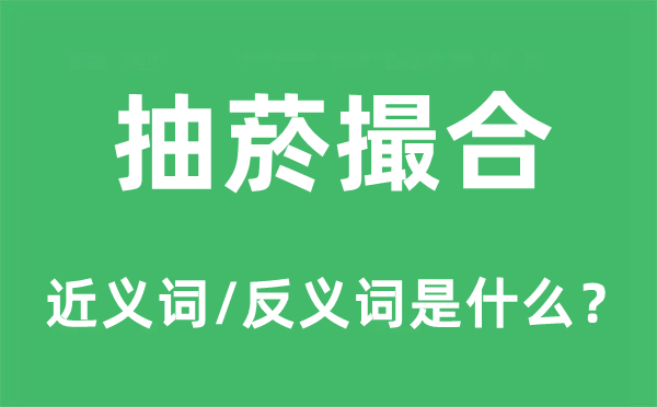 撮合的近义词和反义词是什么,撮合是什么意思