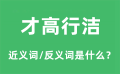 才高行洁的近义词和反义词是什么_才高行洁是什么意思?