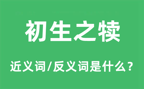 初生之犊的近义词和反义词是什么,初生之犊是什么意思