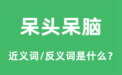 呆头呆脑的近义词和反义词是什么_呆头呆脑是什么意思?