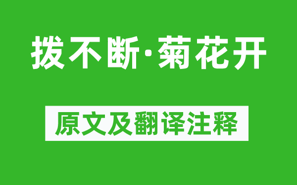 马致远《拨不断·菊花开》原文及翻译注释,诗意解释