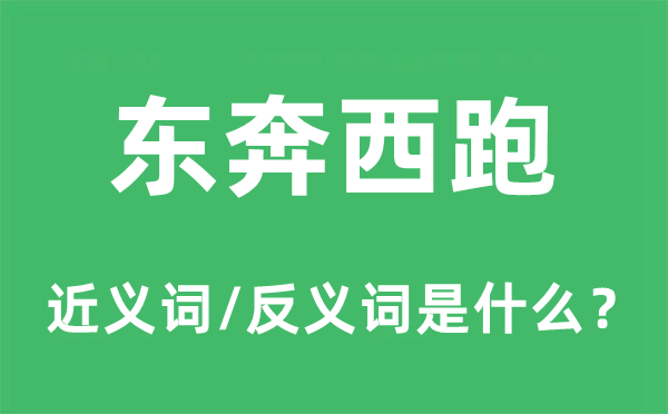 东奔西跑的近义词和反义词是什么,东奔西跑是什么意思