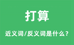 打算的近义词和反义词是什么_打算是什么意思?