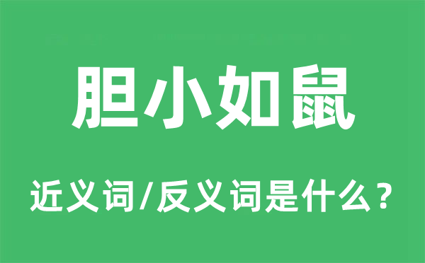 胆小如鼠的近义词和反义词是什么,胆小如鼠是什么意思