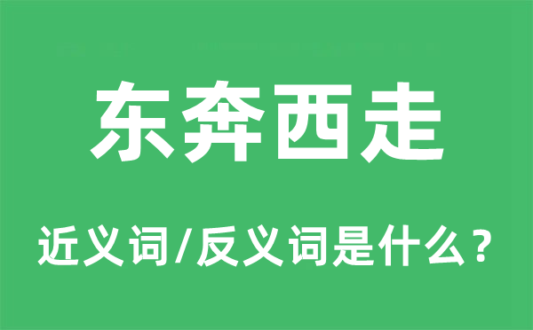 东奔西走的近义词和反义词是什么,东奔西走是什么意思