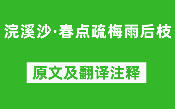 姜夔《浣溪沙·春点疏梅雨后枝》原文及翻译注释,诗意解释