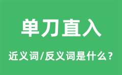 单刀直入的近义词和反义词是什么_单刀直入是什么意思?