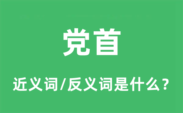 党首的近义词和反义词是什么,党首是什么意思