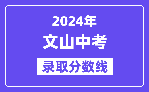 2024年文山中考录取分数线一览表（含历年分数线） 