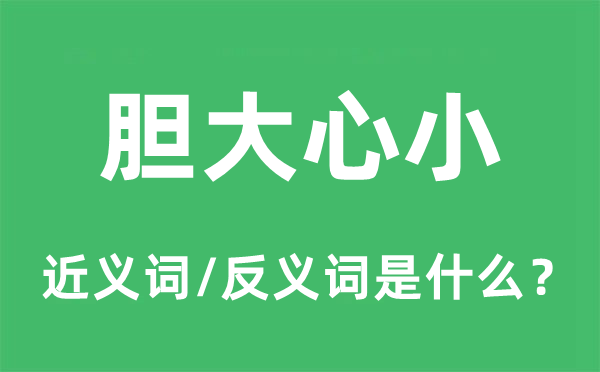 胆大心小的近义词和反义词是什么,胆大心小是什么意思