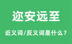 迩安远至的近义词和反义词是什么_迩安远至是什么意思?