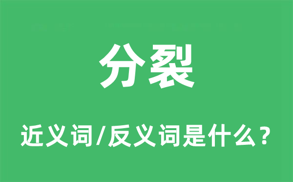 分裂的近义词和反义词是什么,分裂是什么意思