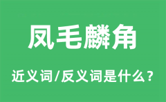 凤毛麟角的近义词和反义词是什么_凤毛麟角是什么意思?