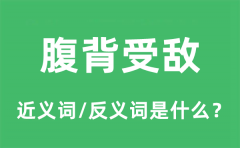 腹背受敌的近义词和反义词是什么_腹背受敌是什么意思?