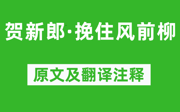 卢祖皋《贺新郎·挽住风前柳》原文及翻译注释,诗意解释