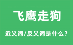 飞鹰走狗的近义词和反义词是什么_飞鹰走狗是什么意思?